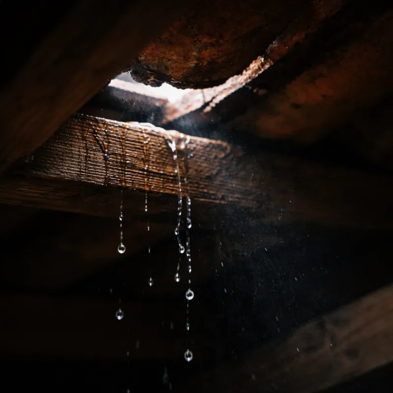 Fuite d'eau a travers un toit endommage vue depuis les combles